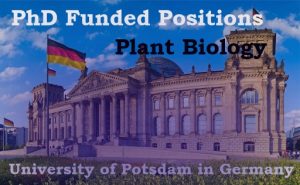 Read more about the article 2 PhD Funded Positions in Plant Biology at the University of Potsdam in Germany